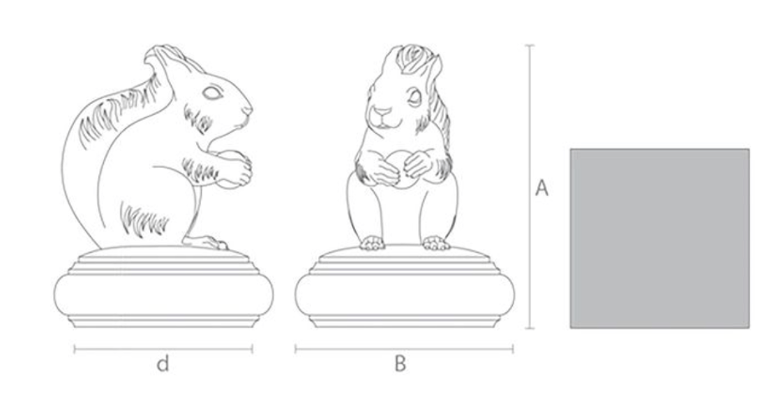 Manufacturing drawing of side and front view of squirrel